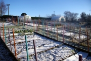 delamere-flower-farm-winter